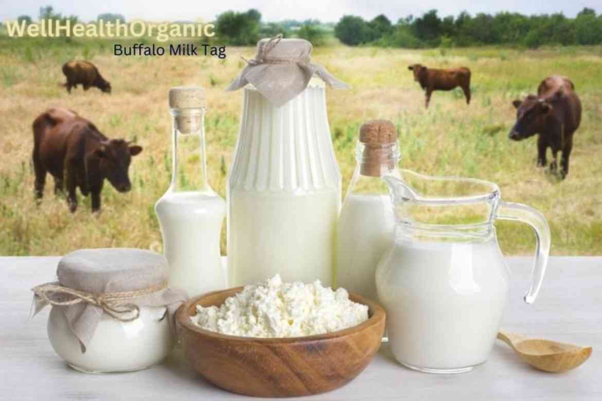 wellhealthorganic buffalo milk tag : Nutritional Facts and Health Advantages