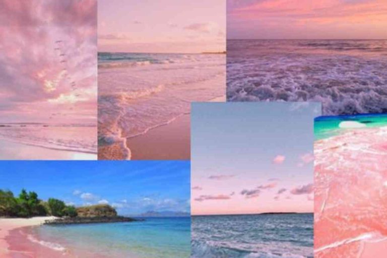 wallpaper:nkqnsuljoxa= preppy: Trendy Ideas for 2024