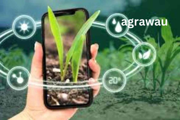 Agrawau: Bridging the Past with the Present