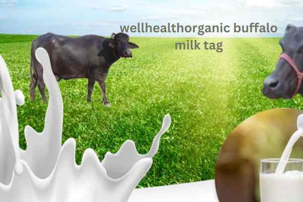 wellhealthorganic buffalo milk tag