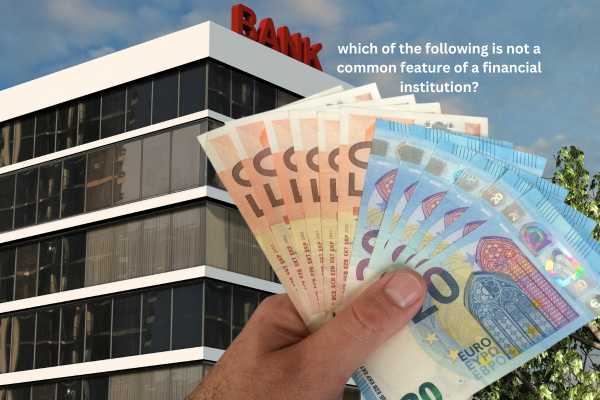 Common Features of Financial Institutions
