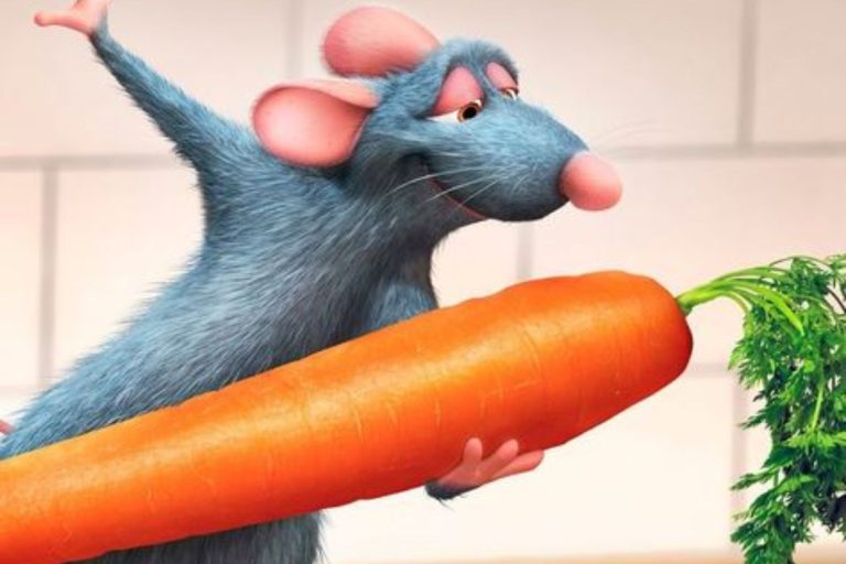 remy:vuvr2yhzv9m= ratatouille: The Beloved Culinary Tale
